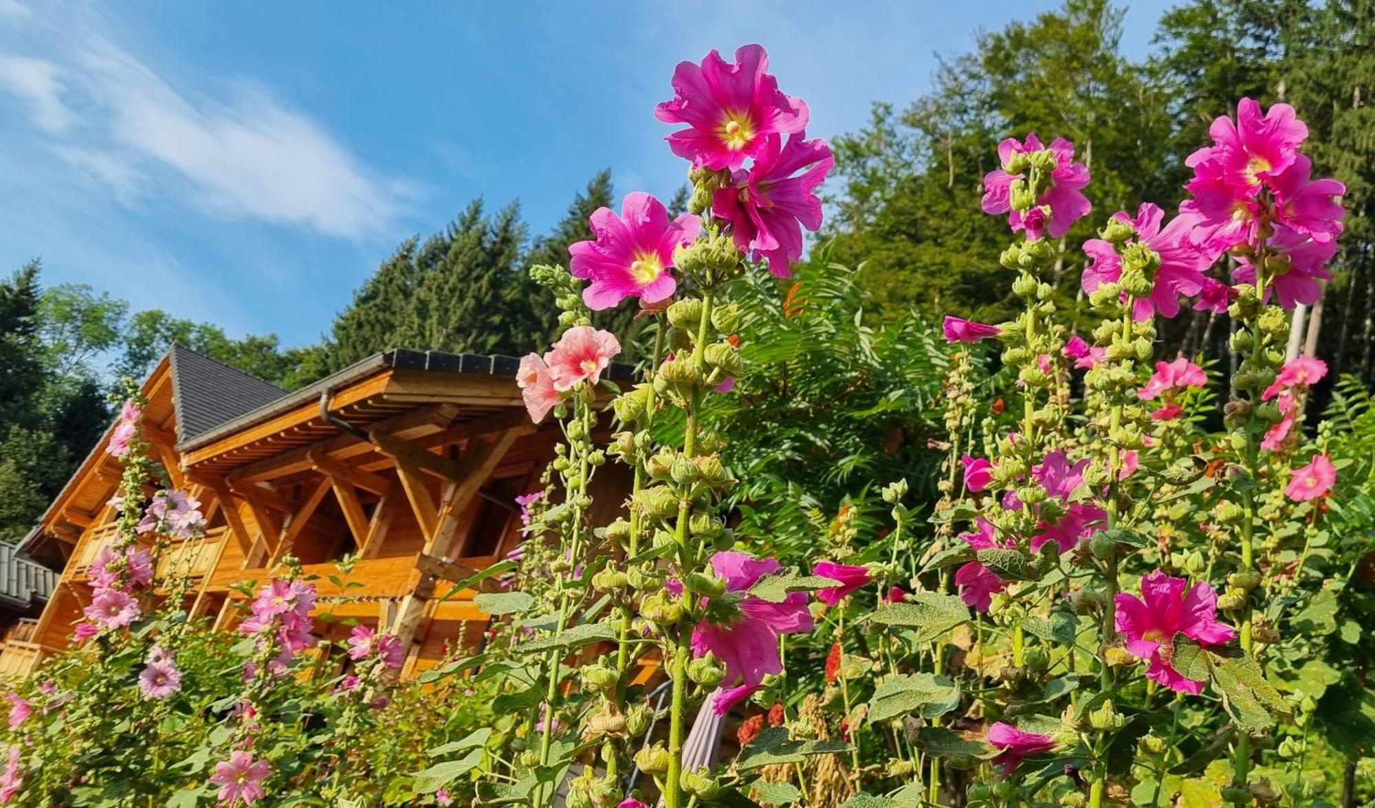 Chalet Arpitan - Les Carroz - Grand Massif Exterior foto